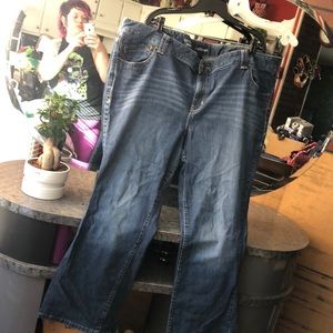 ❣️✨❣️Lane Bryant Bootcut Jean